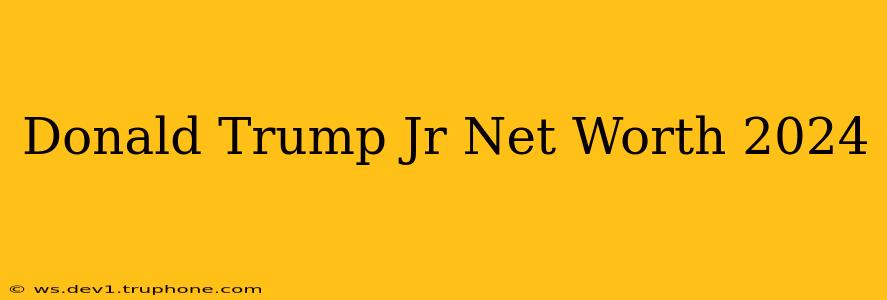 Donald Trump Jr Net Worth 2024